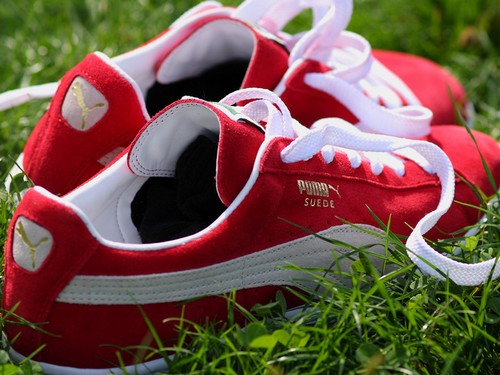 Puma Collection | Athletic & Trendsetting - Trendyol