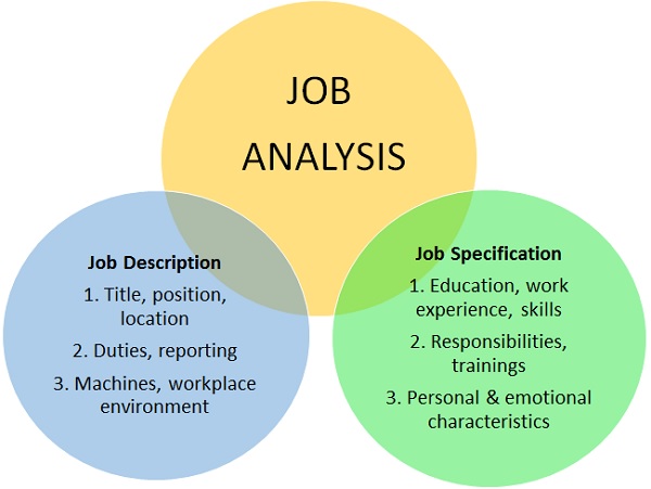 Job analysis - definition and meaning - Market Business News
