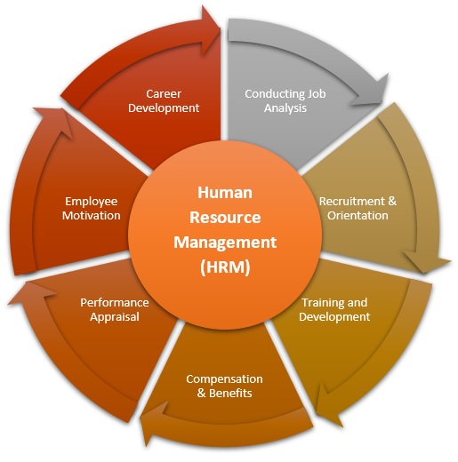 What are the major roles of human resource management