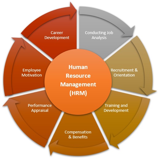 Human Resource Management HRM Definition Importance HRM 