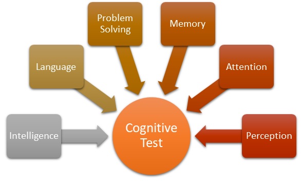 Cognitive Test Definition Importance Types Factors Example HRM 