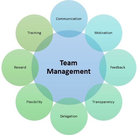 role of management team in business plan