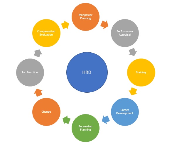 Human Resource Development HRD Definition Importance HRM 