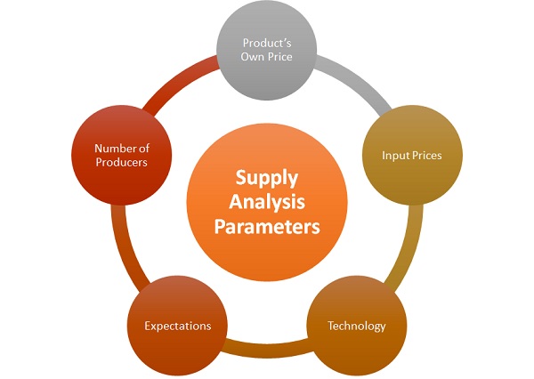 supplier research and market analysis