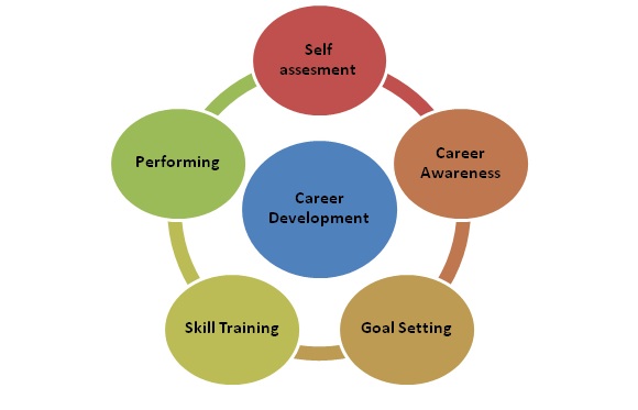 Career Development Meaning Importance Steps Example HRM 